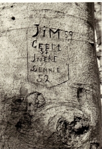 F62 Boom met inscriptie bij kasteel Den Bramel, 1963